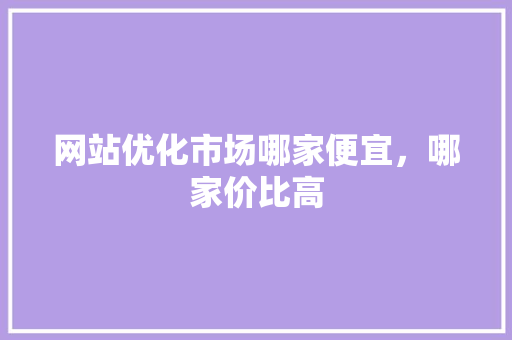 网站优化市场哪家便宜，哪家价比高