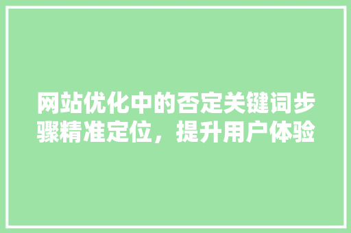 网站优化中的否定关键词步骤精准定位，提升用户体验
