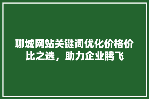 聊城网站关键词优化价格价比之选，助力企业腾飞