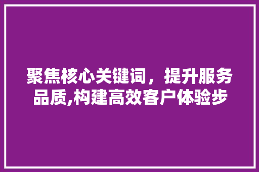 聚焦核心关键词，提升服务品质,构建高效客户体验步骤