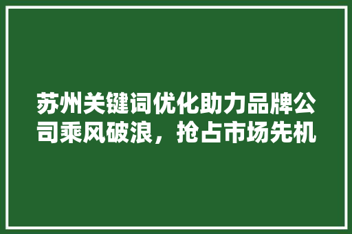苏州关键词优化助力品牌公司乘风破浪，抢占市场先机