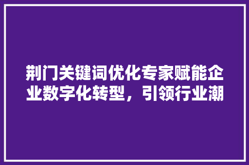 荆门关键词优化专家赋能企业数字化转型，引领行业潮流