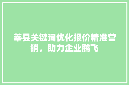 莘县关键词优化报价精准营销，助力企业腾飞