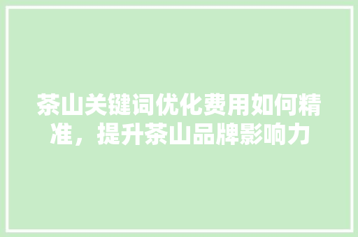 茶山关键词优化费用如何精准，提升茶山品牌影响力