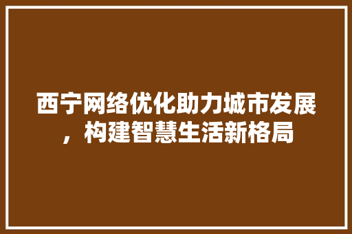西宁网络优化助力城市发展，构建智慧生活新格局