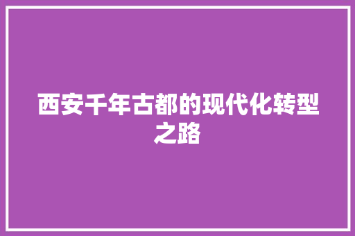 西安千年古都的现代化转型之路