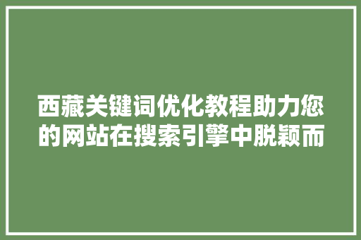 西藏关键词优化教程助力您的网站在搜索引擎中脱颖而出