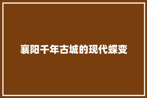 襄阳千年古城的现代蝶变
