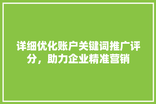 详细优化账户关键词推广评分，助力企业精准营销
