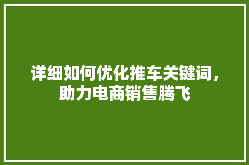 详细如何优化推车关键词，助力电商销售腾飞