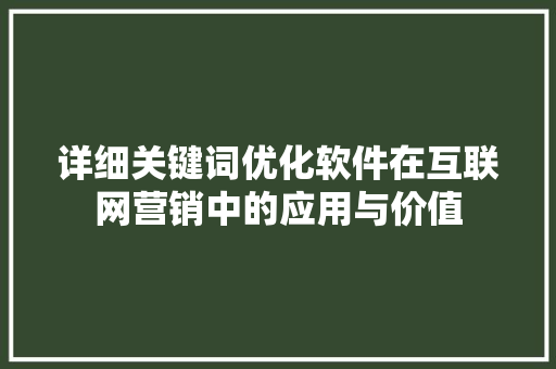 详细关键词优化软件在互联网营销中的应用与价值