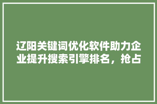 辽阳关键词优化软件助力企业提升搜索引擎排名，抢占市场先机