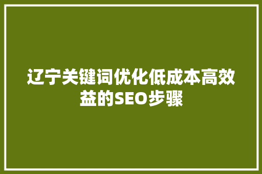 辽宁关键词优化低成本高效益的SEO步骤