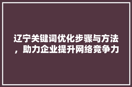 辽宁关键词优化步骤与方法，助力企业提升网络竞争力