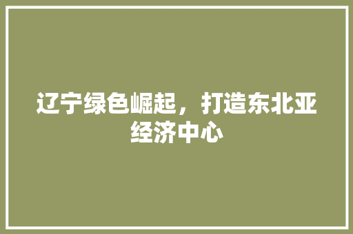辽宁绿色崛起，打造东北亚经济中心