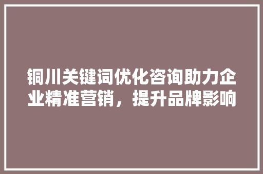 铜川关键词优化咨询助力企业精准营销，提升品牌影响力