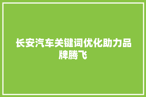 长安汽车关键词优化助力品牌腾飞
