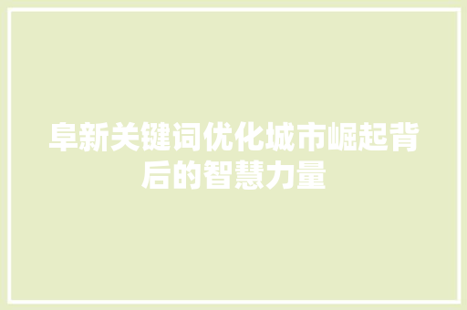 阜新关键词优化城市崛起背后的智慧力量