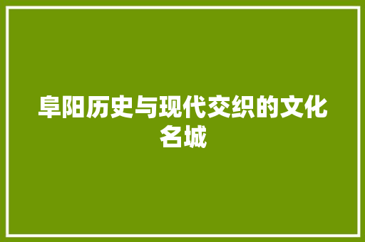 阜阳历史与现代交织的文化名城