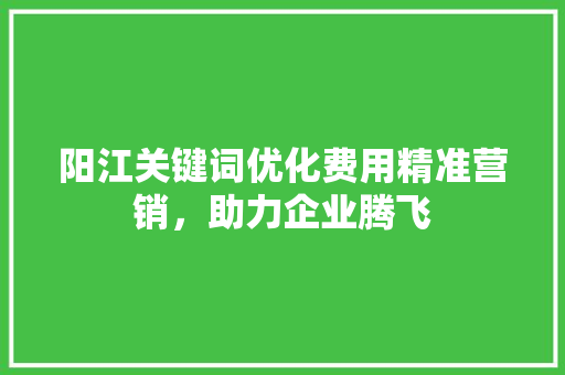 阳江关键词优化费用精准营销，助力企业腾飞
