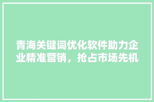 青海关键词优化软件助力企业精准营销，抢占市场先机