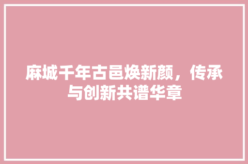 麻城千年古邑焕新颜，传承与创新共谱华章