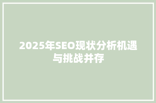 2025年SEO现状分析机遇与挑战并存