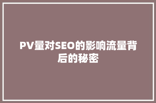 PV量对SEO的影响流量背后的秘密