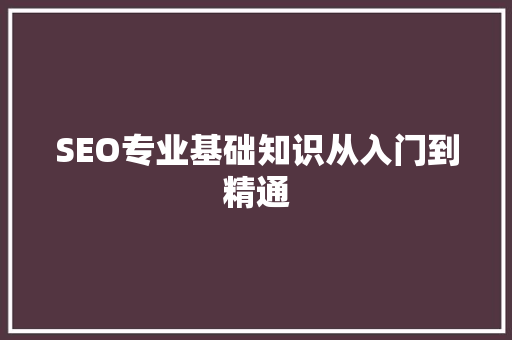 SEO专业基础知识从入门到精通