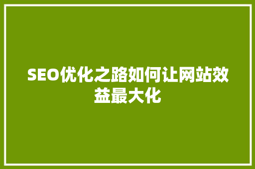SEO优化之路如何让网站效益最大化
