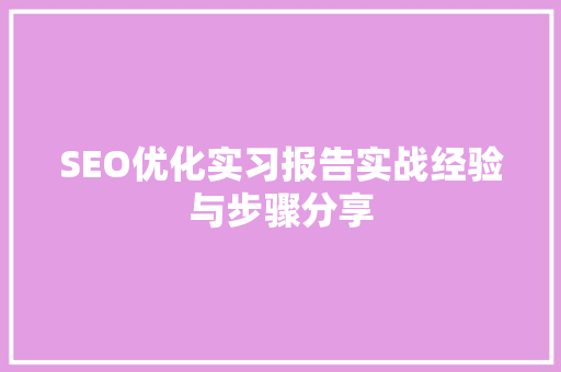 SEO优化实习报告实战经验与步骤分享