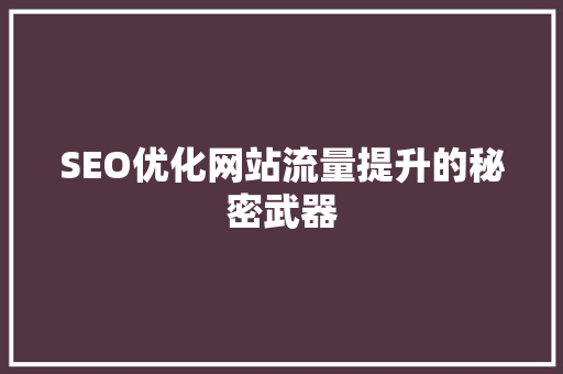 SEO优化网站流量提升的秘密武器