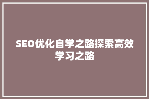 SEO优化自学之路探索高效学习之路