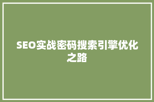 SEO实战密码搜索引擎优化之路