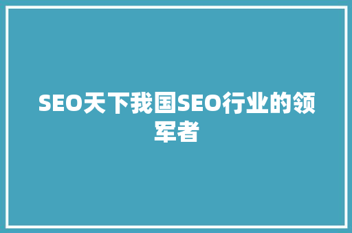 SEO天下我国SEO行业的领军者