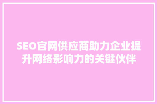 SEO官网供应商助力企业提升网络影响力的关键伙伴