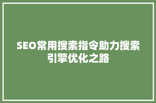 SEO常用搜索指令助力搜索引擎优化之路