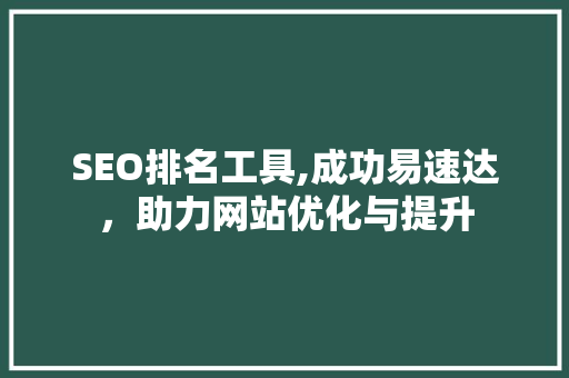 SEO排名工具,成功易速达，助力网站优化与提升