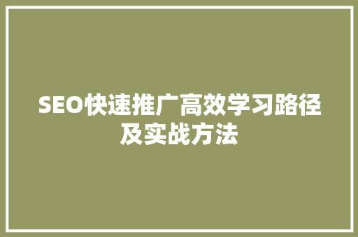 SEO快速推广高效学习路径及实战方法