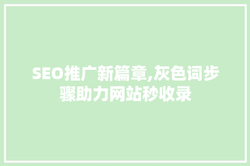 SEO推广新篇章,灰色词步骤助力网站秒收录