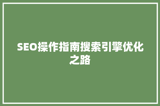 SEO操作指南搜索引擎优化之路