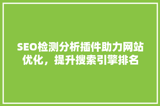 SEO检测分析插件助力网站优化，提升搜索引擎排名