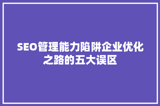 SEO管理能力陷阱企业优化之路的五大误区