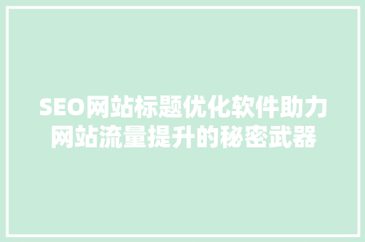 SEO网站标题优化软件助力网站流量提升的秘密武器