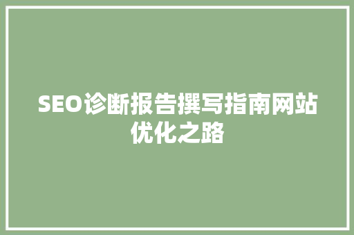 SEO诊断报告撰写指南网站优化之路