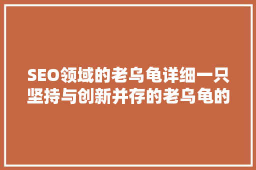 SEO领域的老乌龟详细一只坚持与创新并存的老乌龟的SEO之路