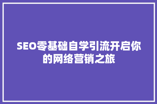 SEO零基础自学引流开启你的网络营销之旅