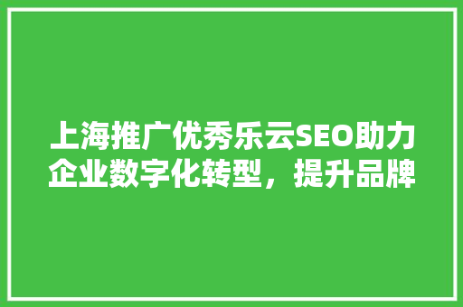 上海推广优秀乐云SEO助力企业数字化转型，提升品牌影响力
