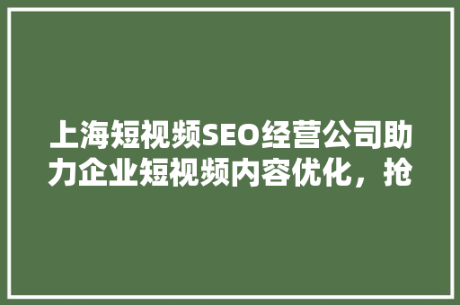 上海短视频SEO经营公司助力企业短视频内容优化，抢占流量高地