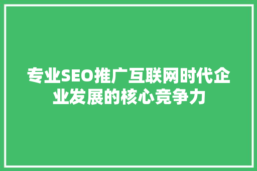 专业SEO推广互联网时代企业发展的核心竞争力